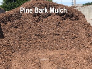 PineBarkMulch