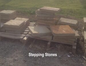 STEPPING STONES